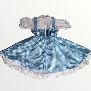 Dorothy Wizard Of Oz Dress